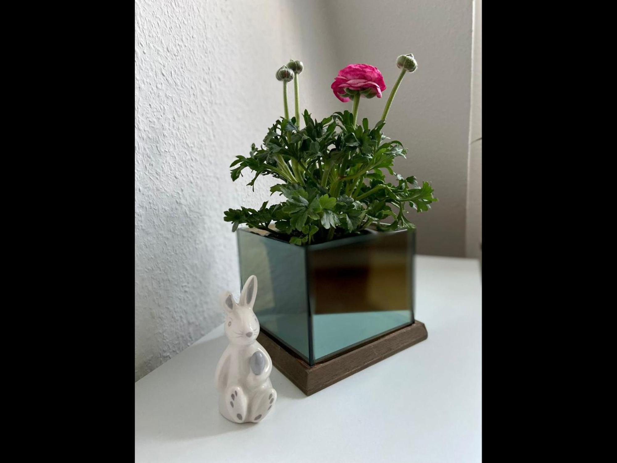 Neu Ferienwohnung Walsrode Buitenkant foto